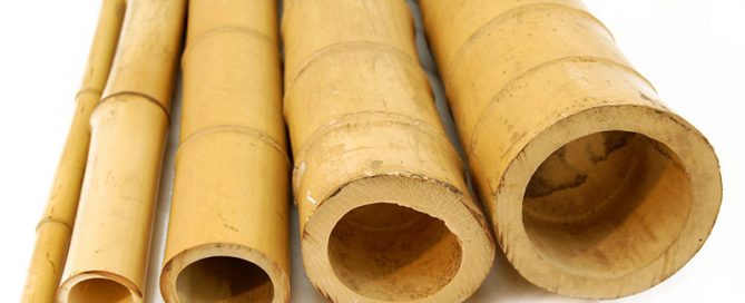 מוטות במבוק